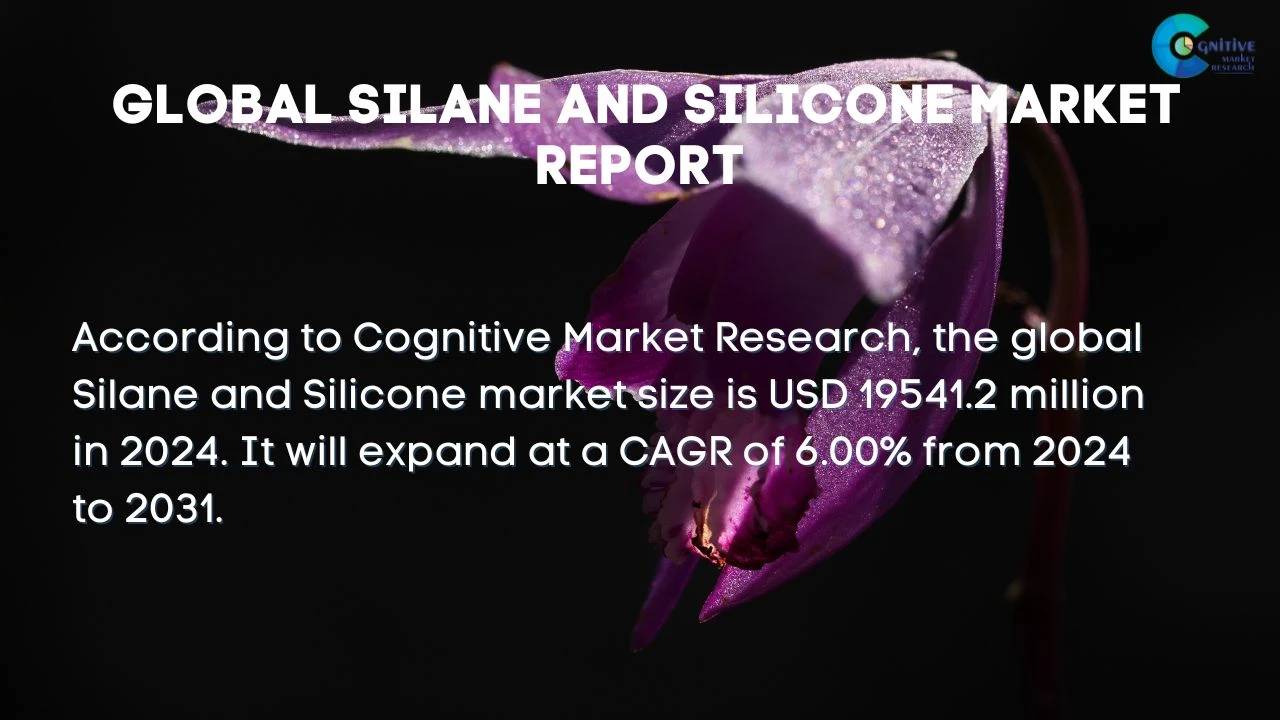 Silane and Silicone Market Report