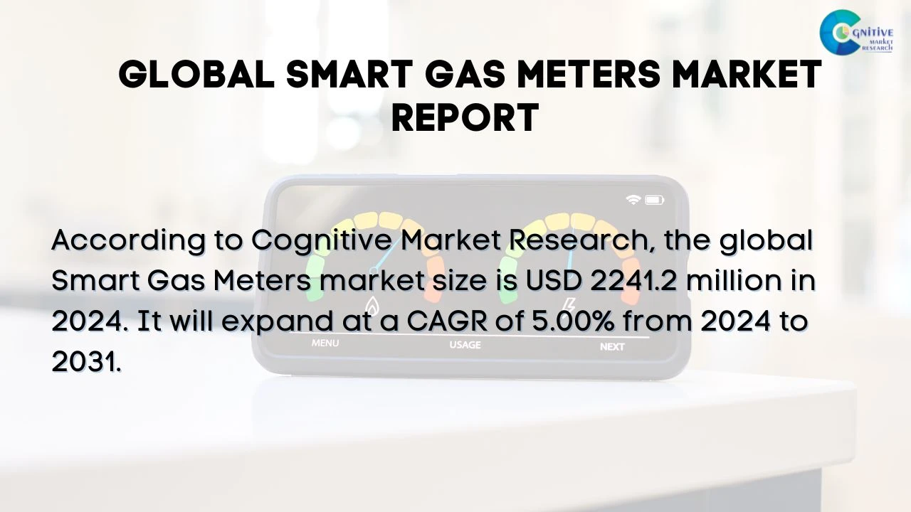 Smart Gas Meters Market Report