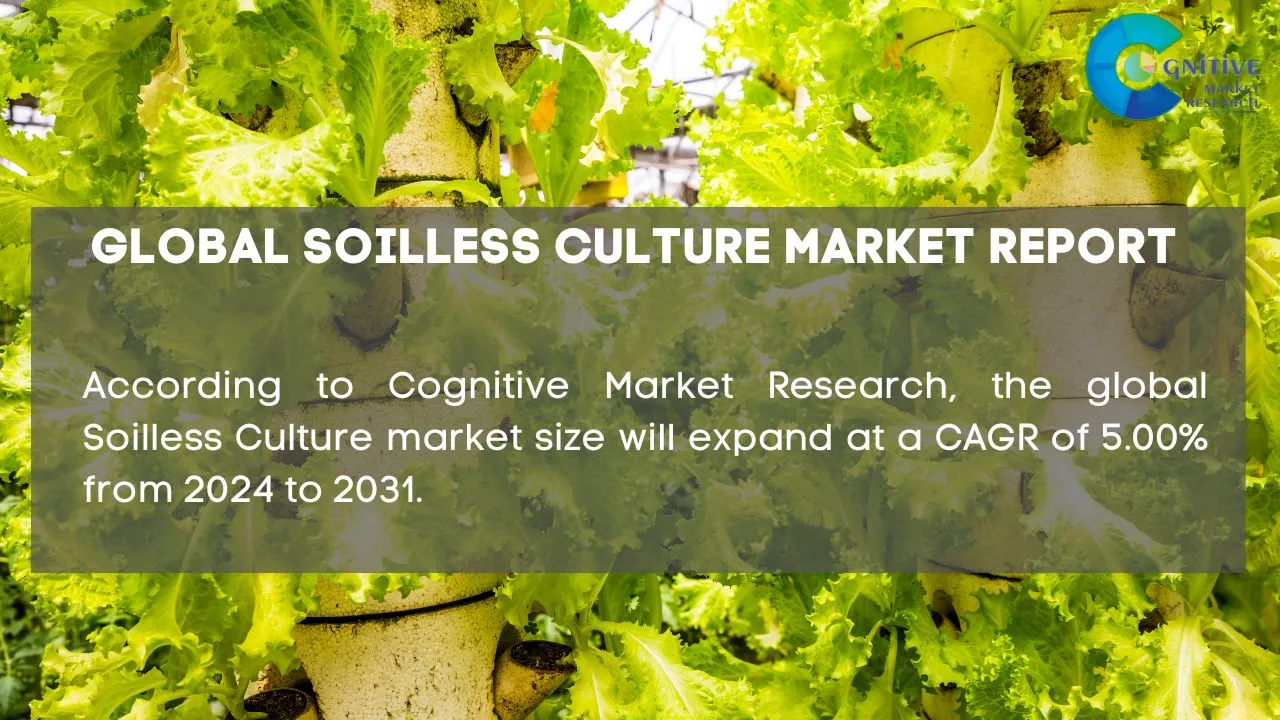 Soilless Culture Market Report