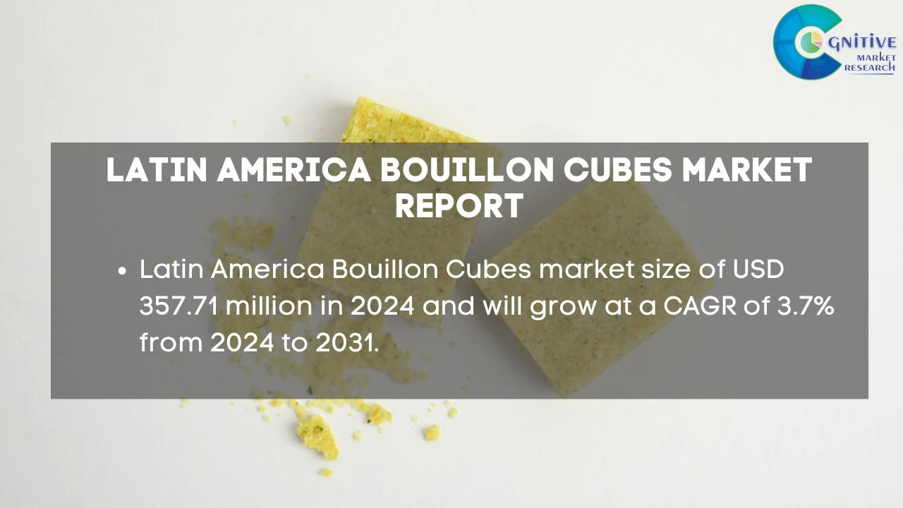 South America Bouillon Cubes Market Report