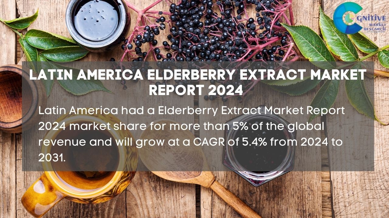 South America Elderberry Extract Market Report