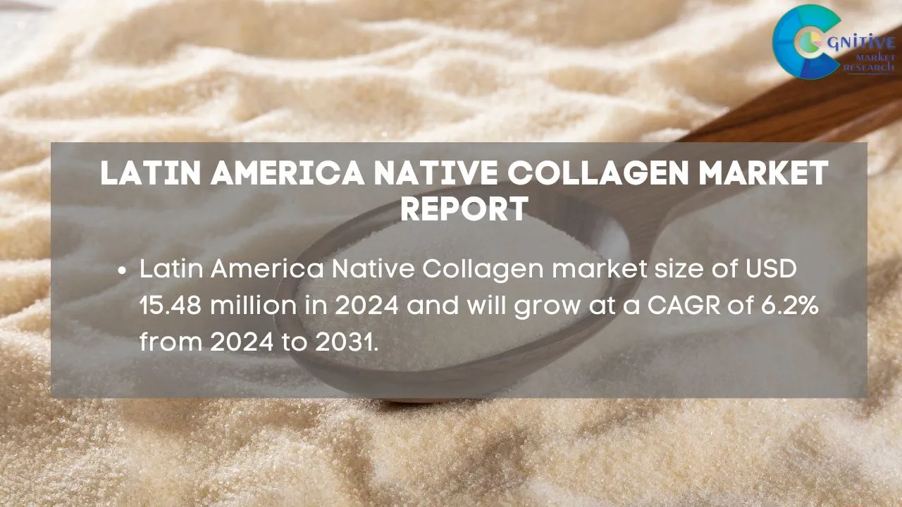 South America Native Collagen Market Report