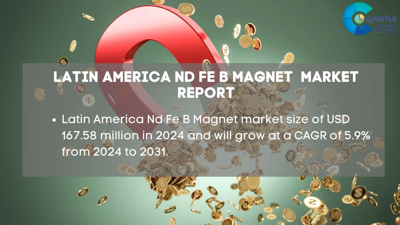 South America Nd Fe B Magnet Market Report