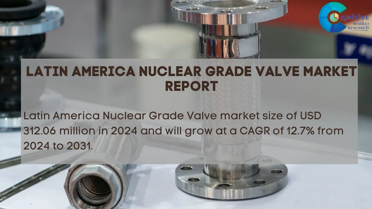 South America Nuclear Grade Valve Market Report