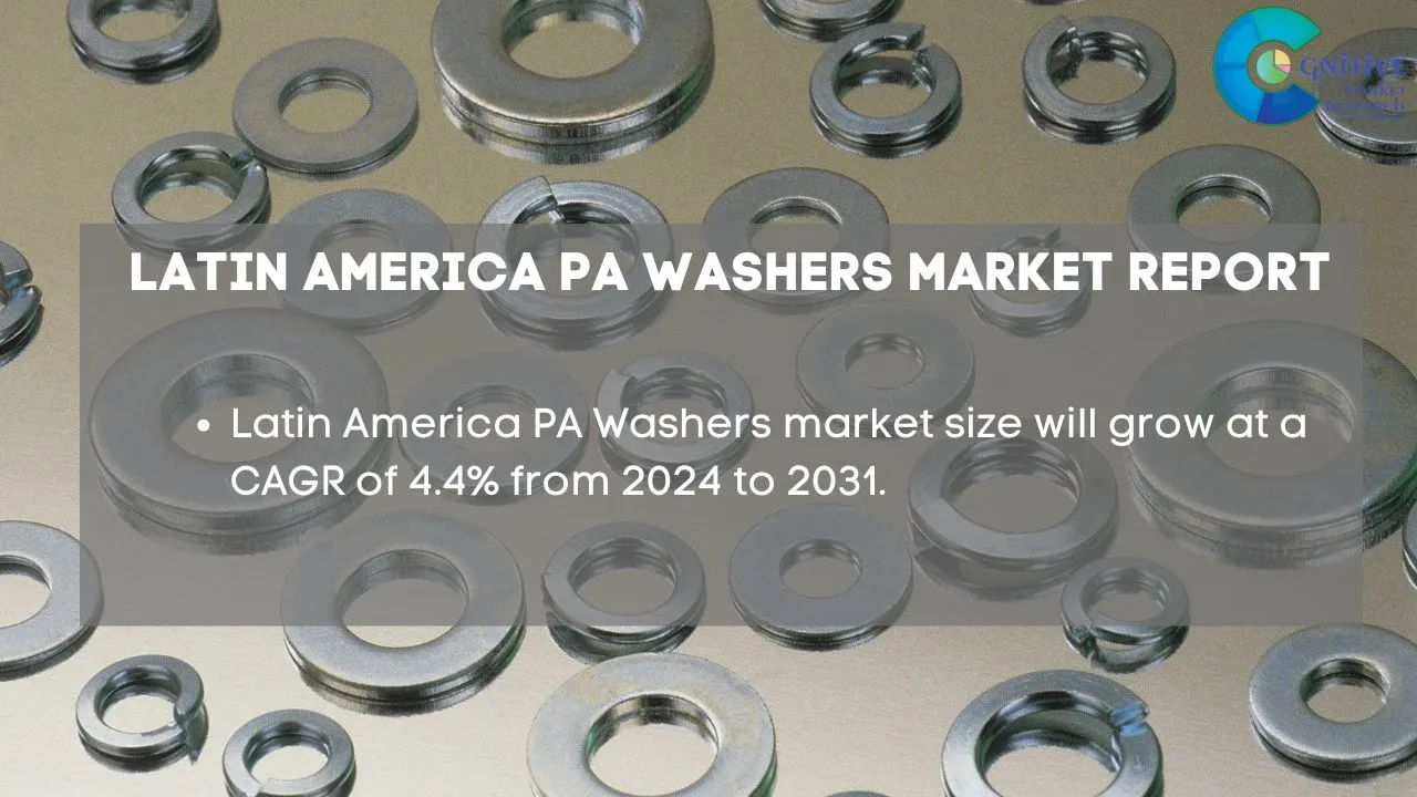 South America PA Washers Market Report