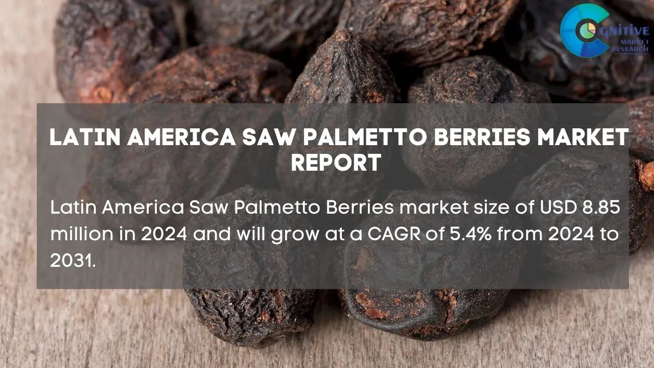 South America Saw Palmetto Berries Market Report