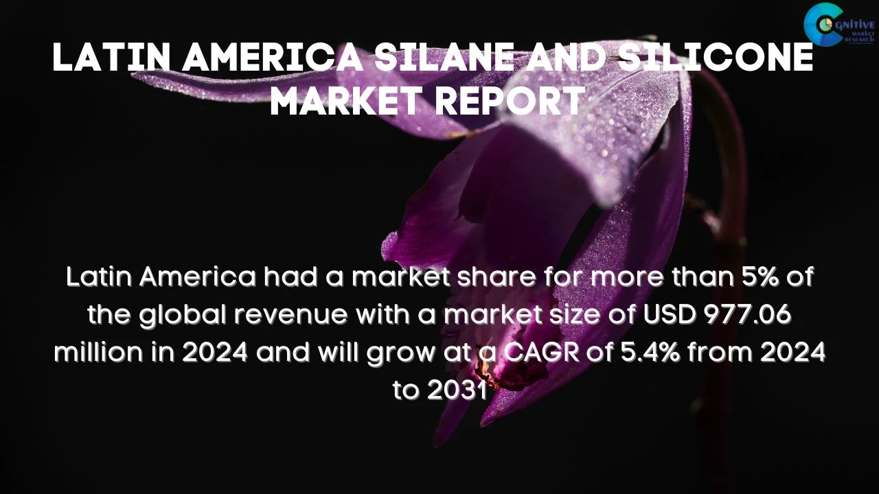 South America Silane and Silicone Market Report