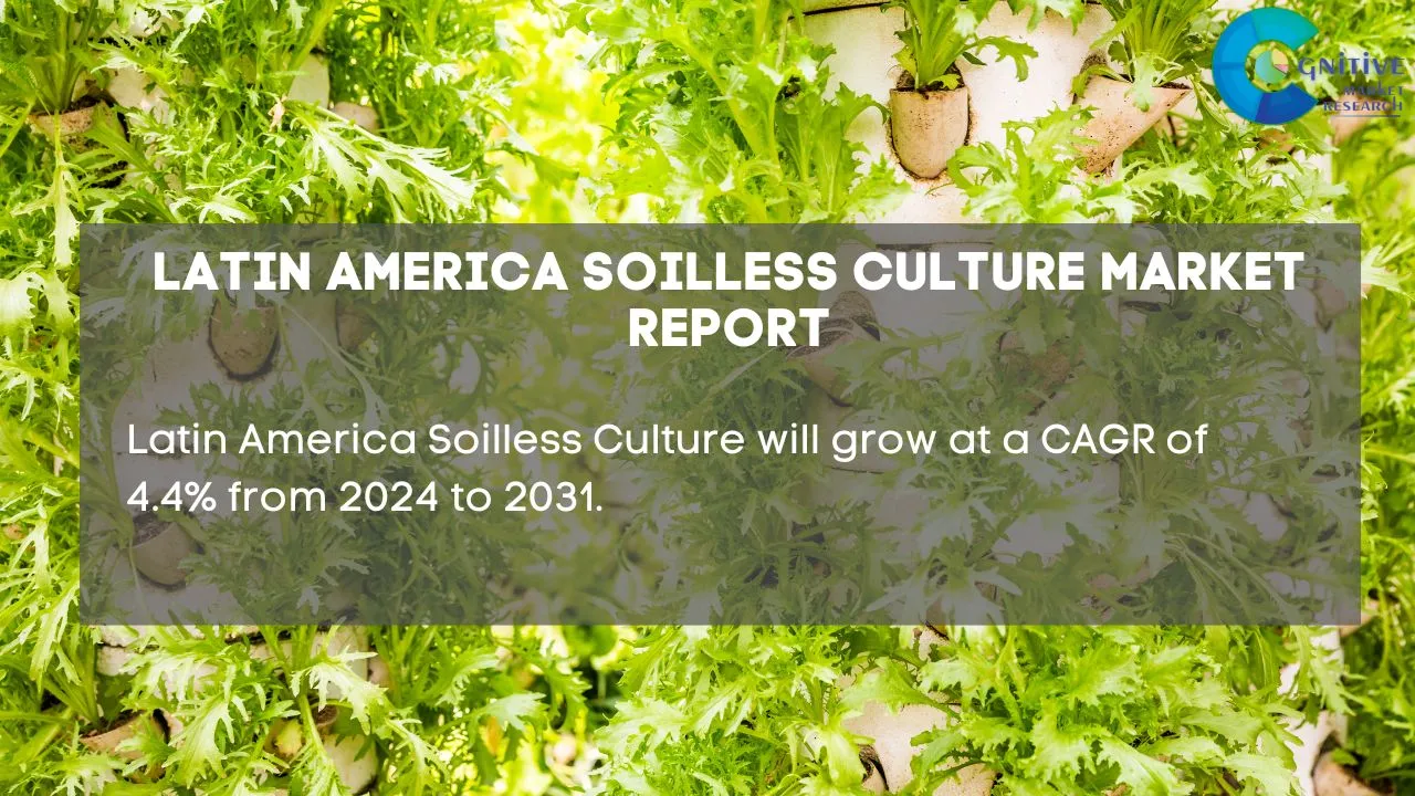 South America Soilless Culture Market Report