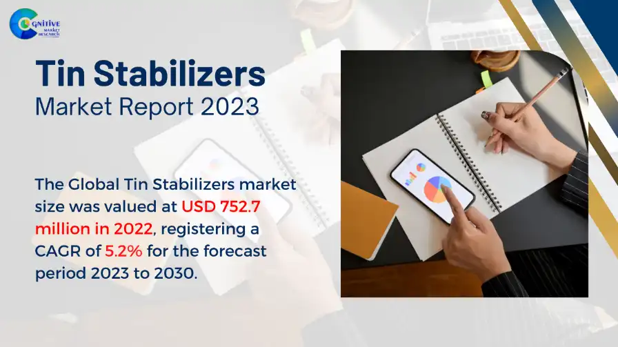 Tin Stabilizers Market Report