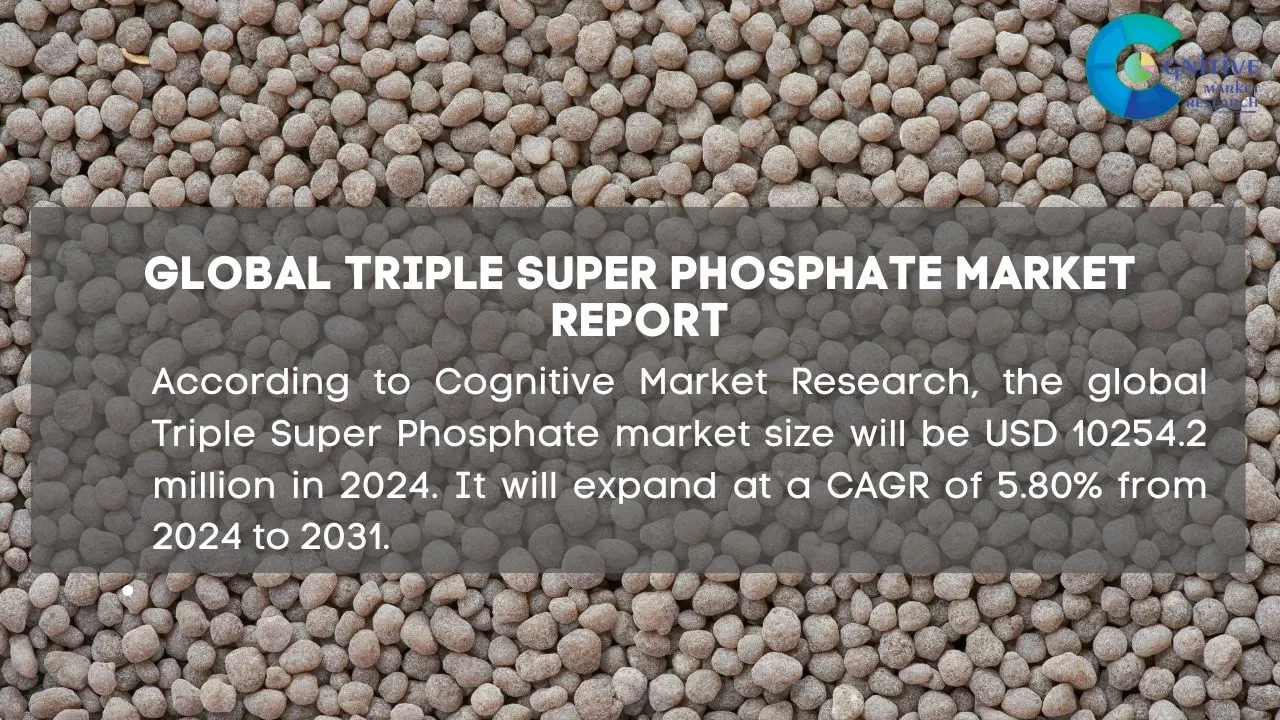 Triple Super Phosphate Market Report