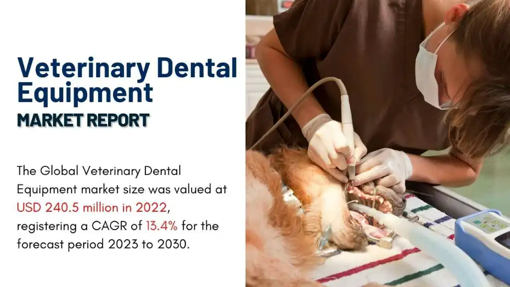 Veterinary Dental Equipment Market Report