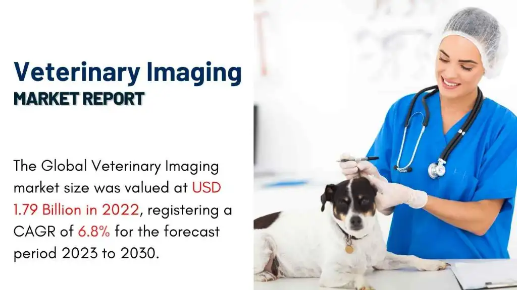 Veterinary Imaging Market Report