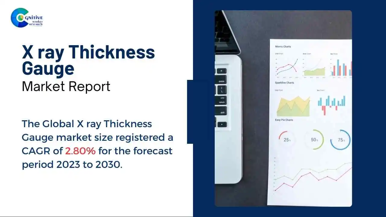 X ray Thickness Gauge Market Report