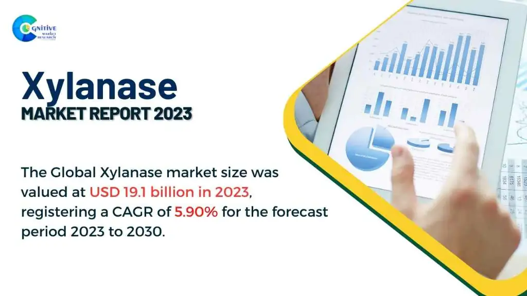 Xylanase Market Report