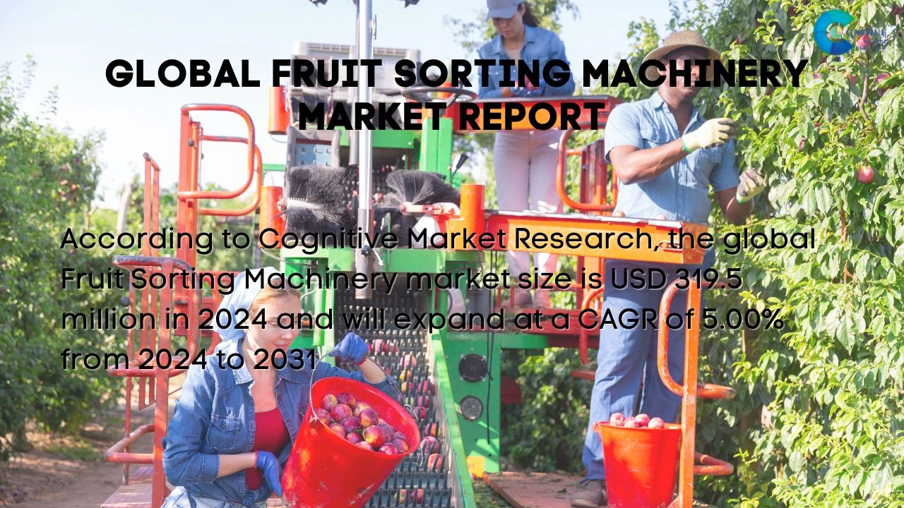 Fruit Sorting Machinery Market Report