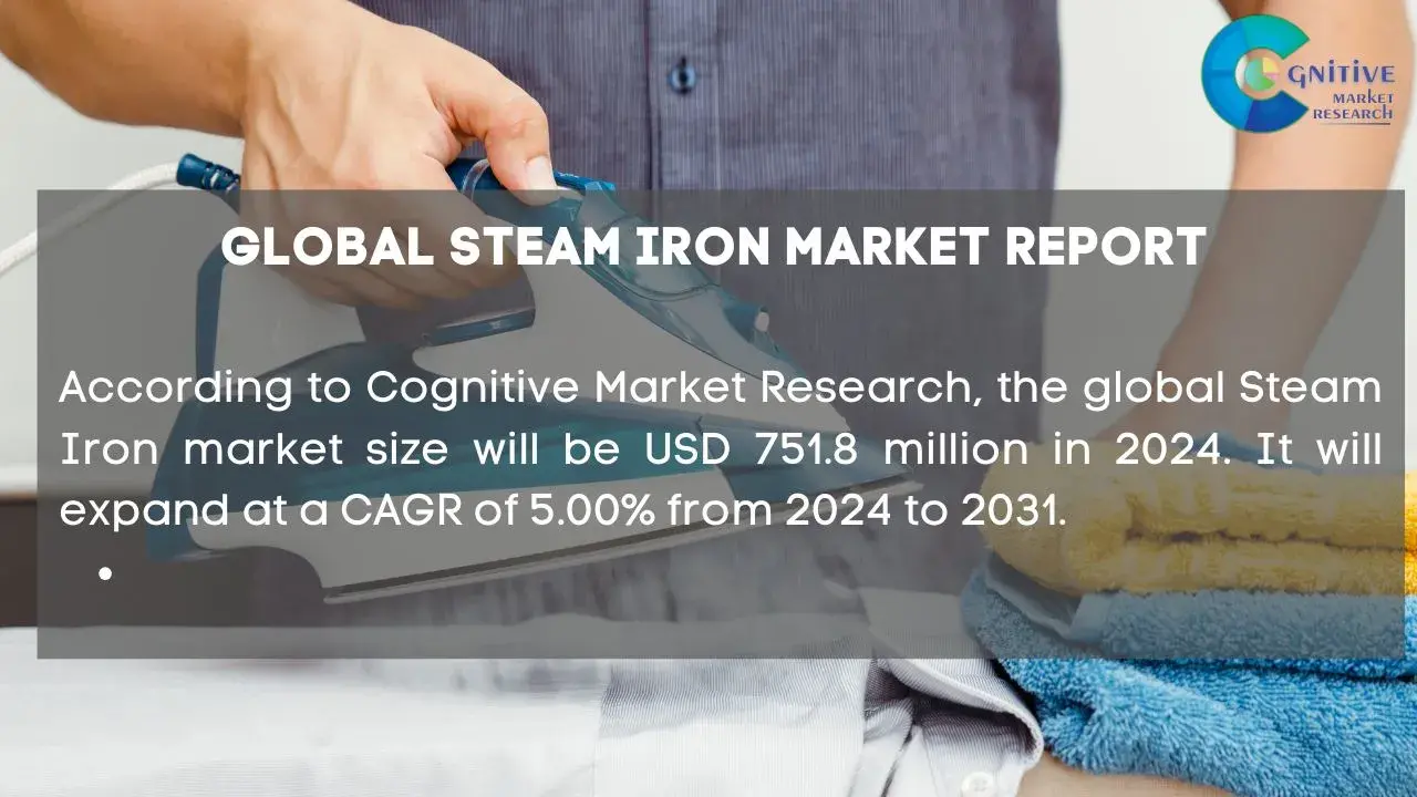 Steam Iron Market Report